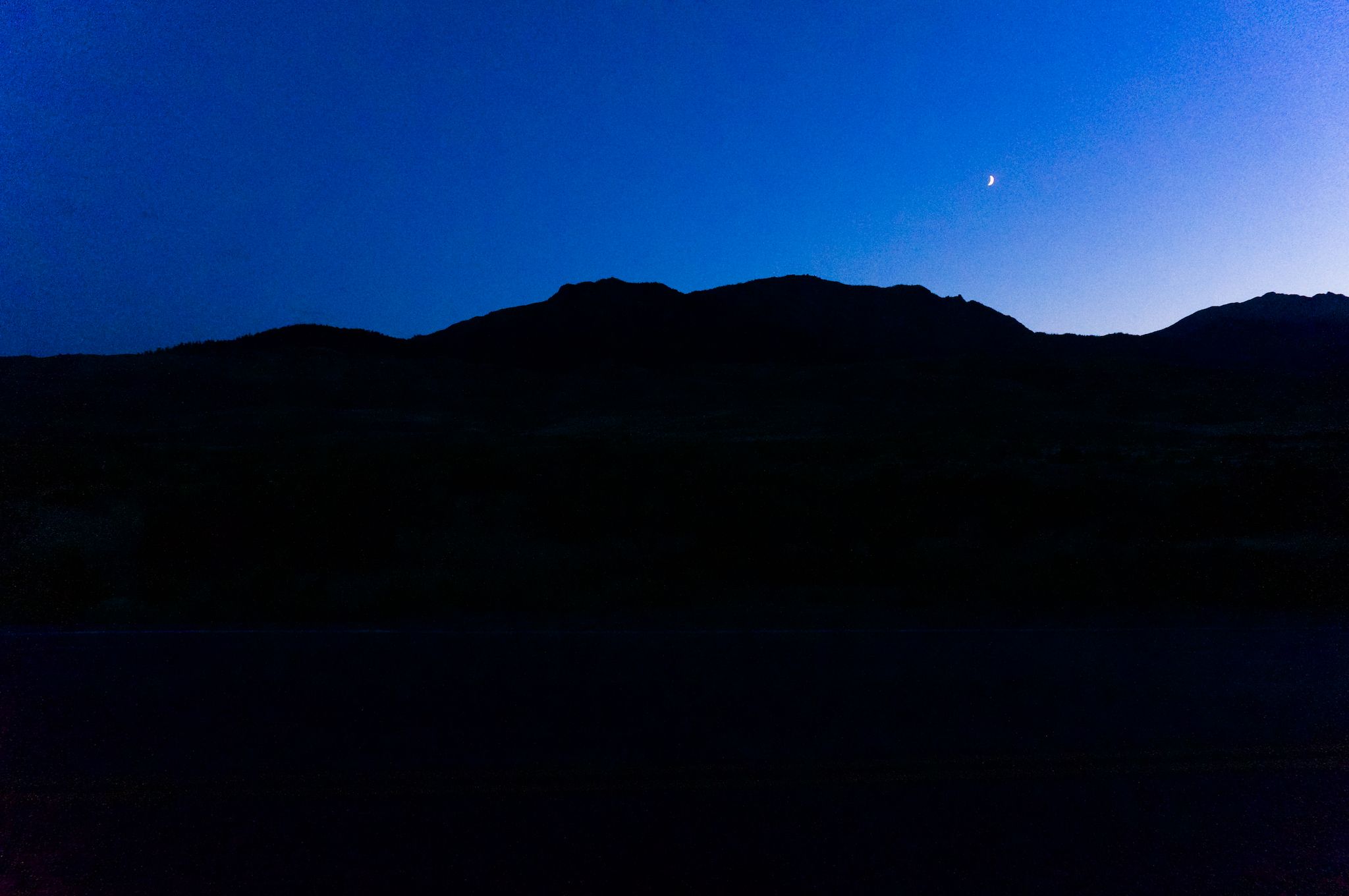 Bighorn sheep in front of the horizon.